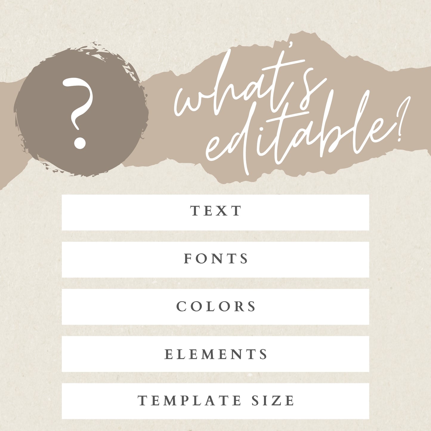 Two Fly Banner Template